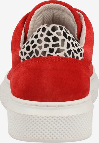 BULLBOXER Sneakers laag in Rood