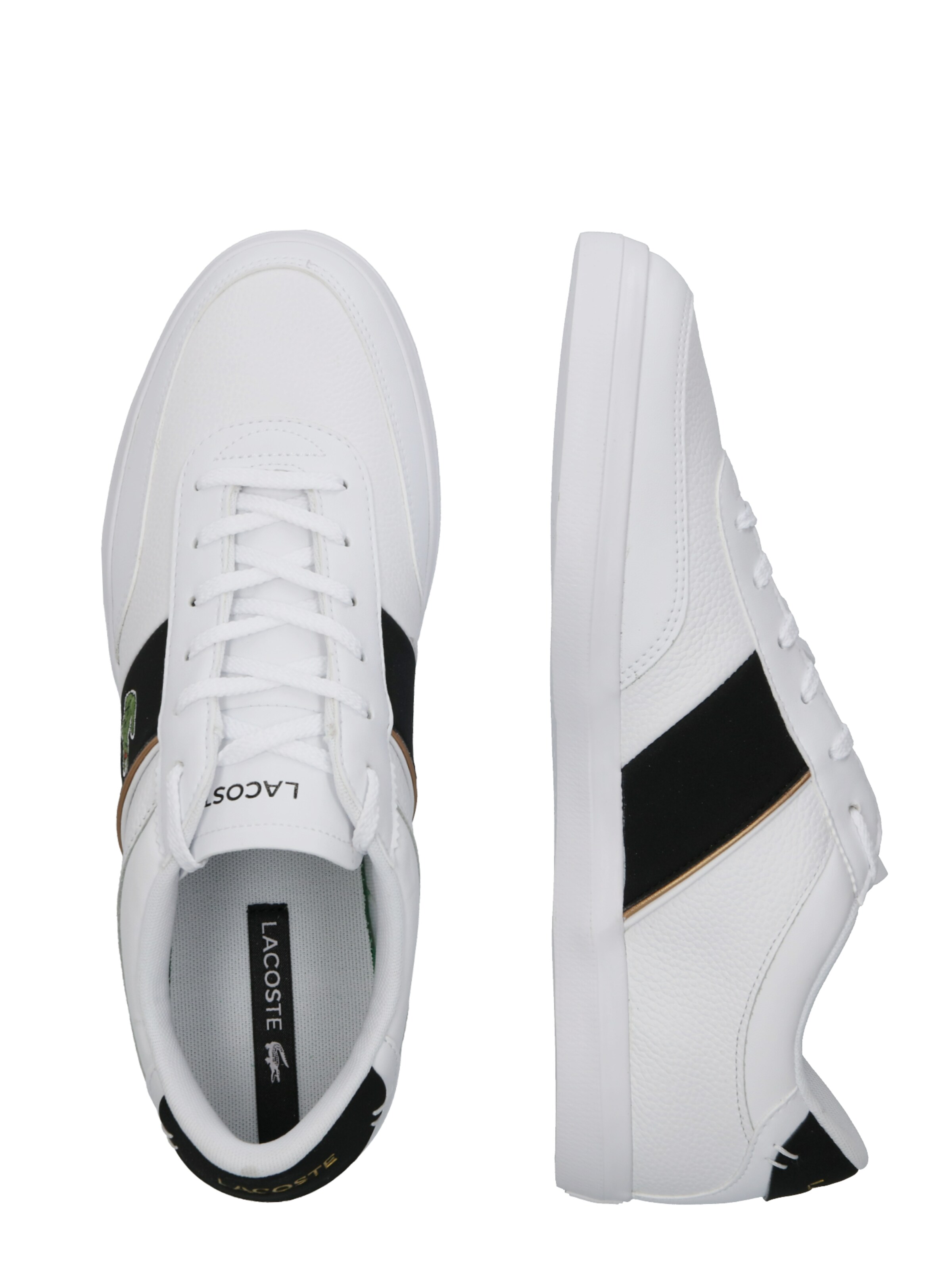 lacoste court master 319
