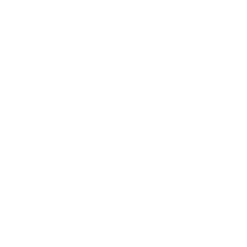 usha BLACK LABEL Logo