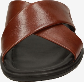 SIOUX Mules 'Minago' in Brown