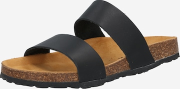 Bianco Mules 'Betricia' in Black: front