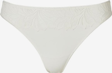 VIVANCE Panty in Mixed colors