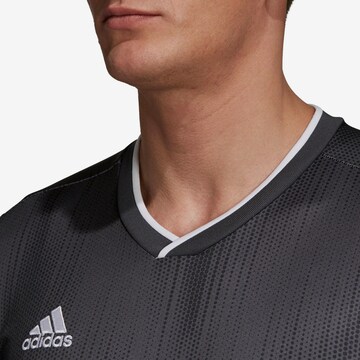 T-Shirt fonctionnel 'Tiro 19' ADIDAS SPORTSWEAR en gris