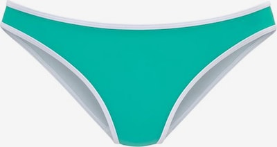 Slip costum de baie VENICE BEACH pe turcoaz, Vizualizare produs