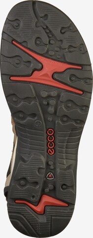 ECCO Wandelsandalen 'Offroad' in Bruin