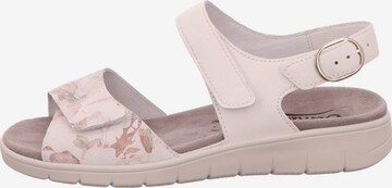 SEMLER Sandals in Pink