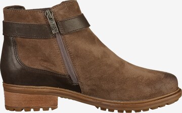 ARA Chelsea Boots in Brown