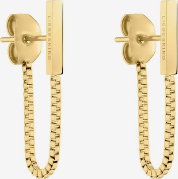 Liebeskind Berlin Earrings in Gold: front