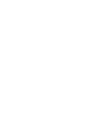 Ca'Shott Logo