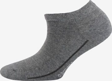 camano Socken in Grau