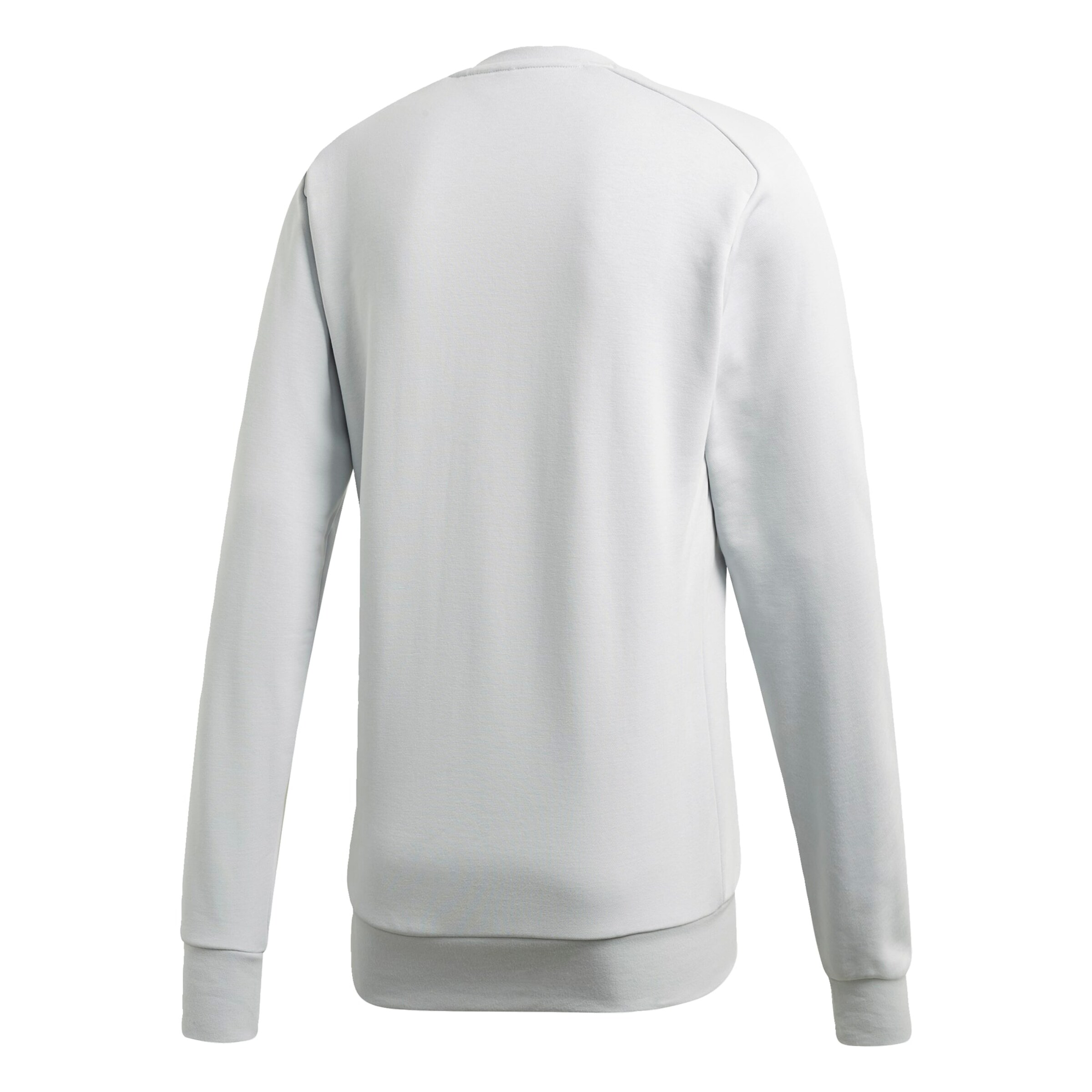Männer Sportarten ADIDAS PERFORMANCE Sweatshirt in Hellgrau - XC31535