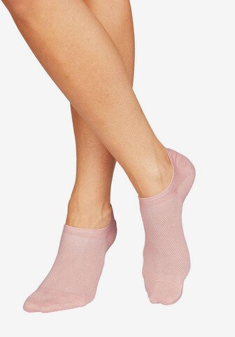 BENCH Ankle Socks in Mixed colors: front