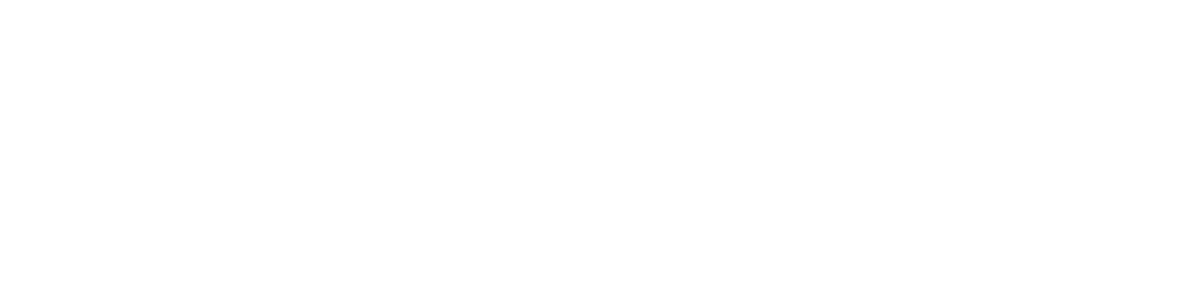 Sessun Logo