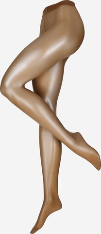 Collants 'Seidenglatt' FALKE en beige : devant