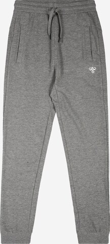 Hummel Tapered Jogginghose 'PLESS' in Grau: predná strana