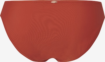 Regular Bas de bikini sport 'CRUZ' O'NEILL en rouge