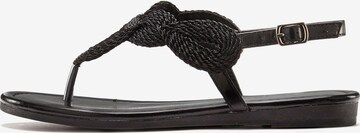 LASCANA T-bar sandals in Black: front