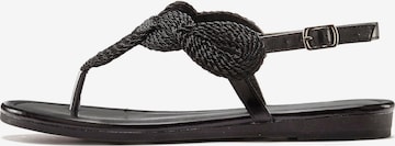 LASCANA T-Bar Sandals in Black: front