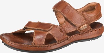 PIKOLINOS Sandals 'Tarifa' in Brown: front