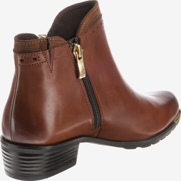 CAPRICE Booties in Brown