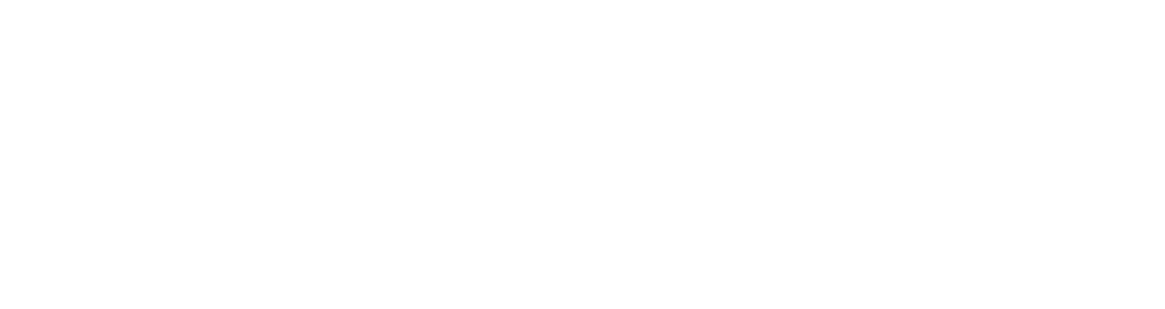DELSEY Logo