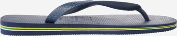 HAVAIANAS Σαγιονάρες διχαλωτές 'BRASIL' σε μπλε