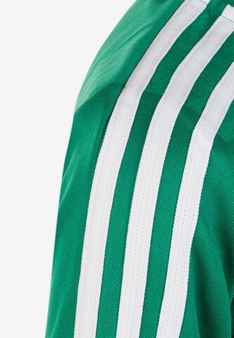 Veste de sport 'Tiro 19' ADIDAS PERFORMANCE en vert