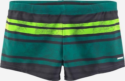 Pantaloncini da bagno CHIEMSEE di colore grigio / mela / verde scuro, Visualizzazione prodotti