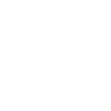 SPIETH & WENSKY Logo