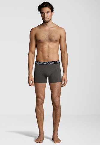 ENDURANCE Sports underpants 'Burke' in Grey