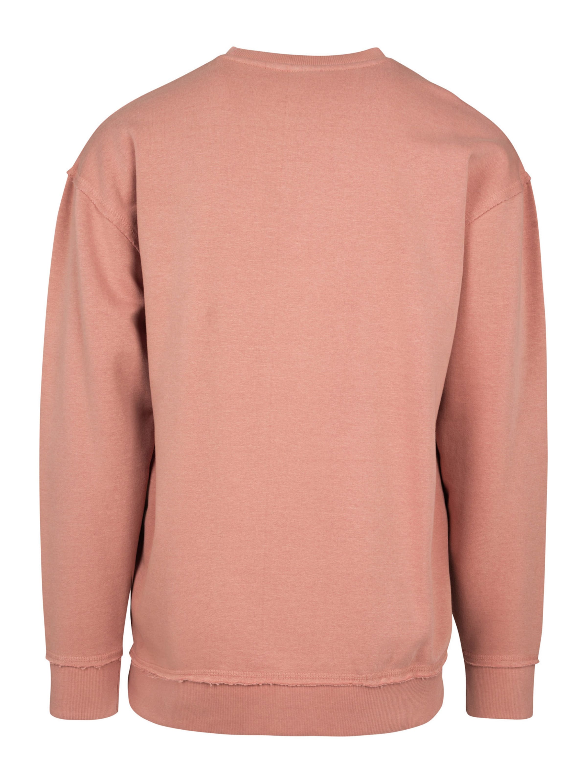 Urban Classics Sweatshirt in Pink