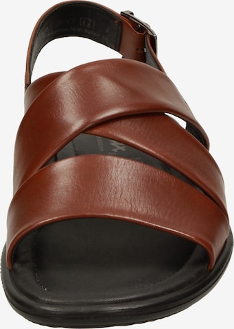 SIOUX Sandals 'Mirtas' in Brown
