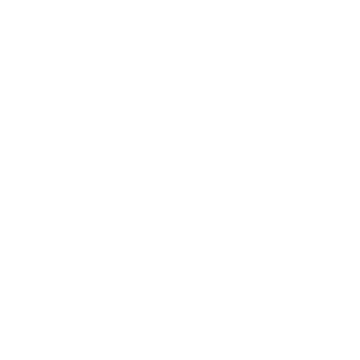 CALZEDONIA Logo