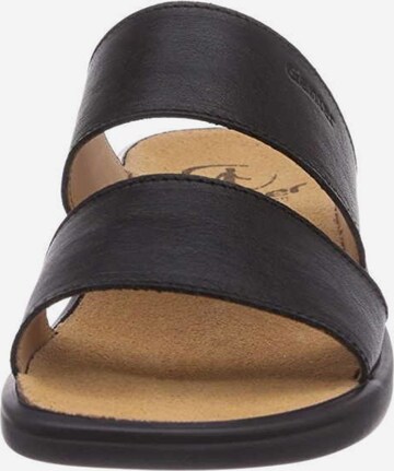 Ganter Mules in Black