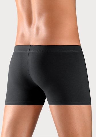 BENCH Boxershorts in Zwart