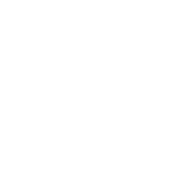 ALVI Logo
