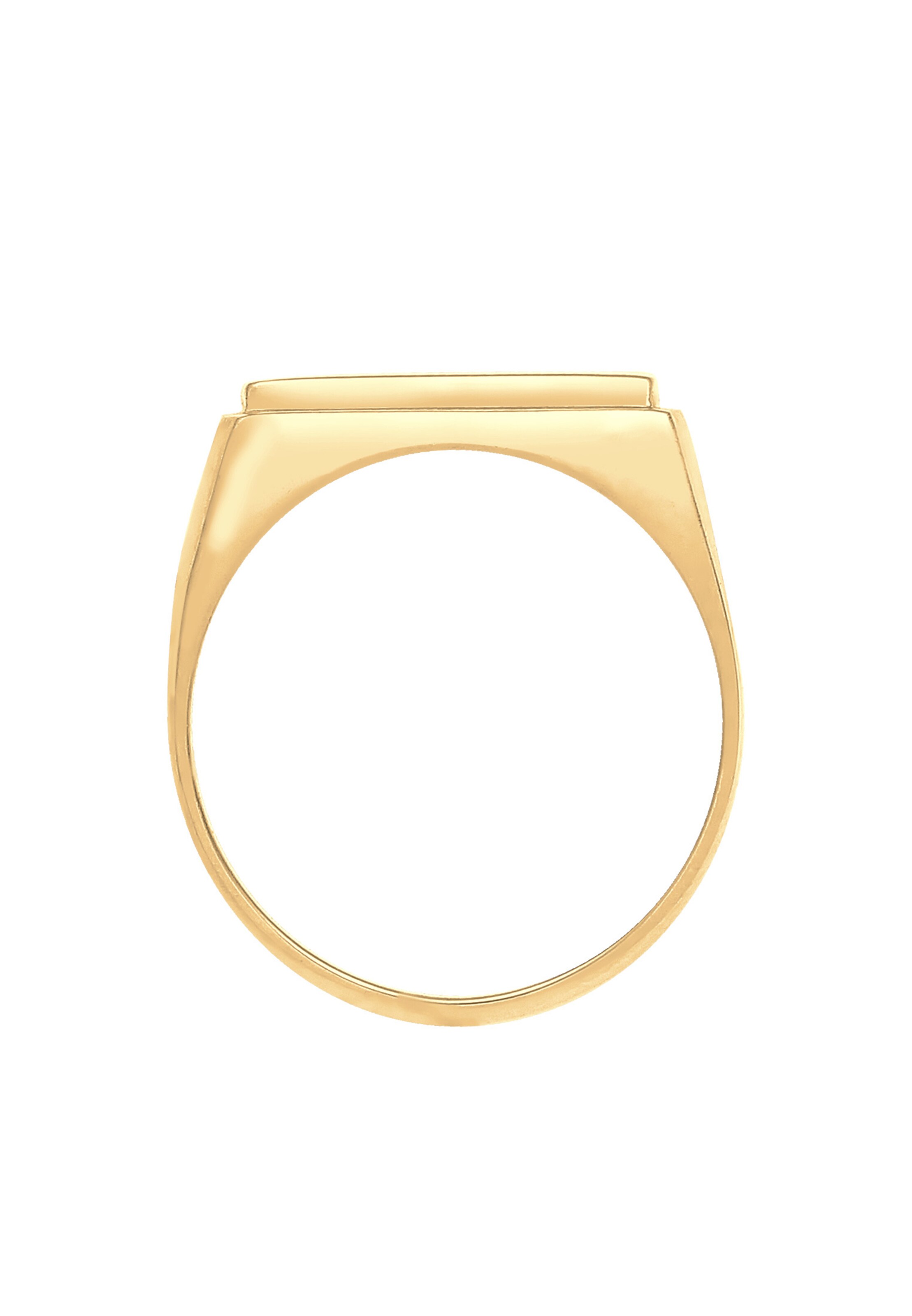 ELLI PREMIUM Siegelring in Gold