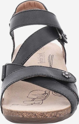 JOSEF SEIBEL Strap Sandals 'Natalya 11' in Black