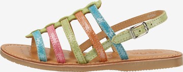 GEOX Sandalen in Gemengde kleuren