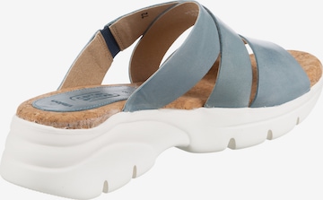 CAMEL ACTIVE Mules in Blue