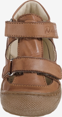 Chaussure basse 'Puffy' NATURINO en marron