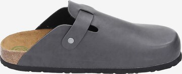 DR. BRINKMANN Clogs in Grey