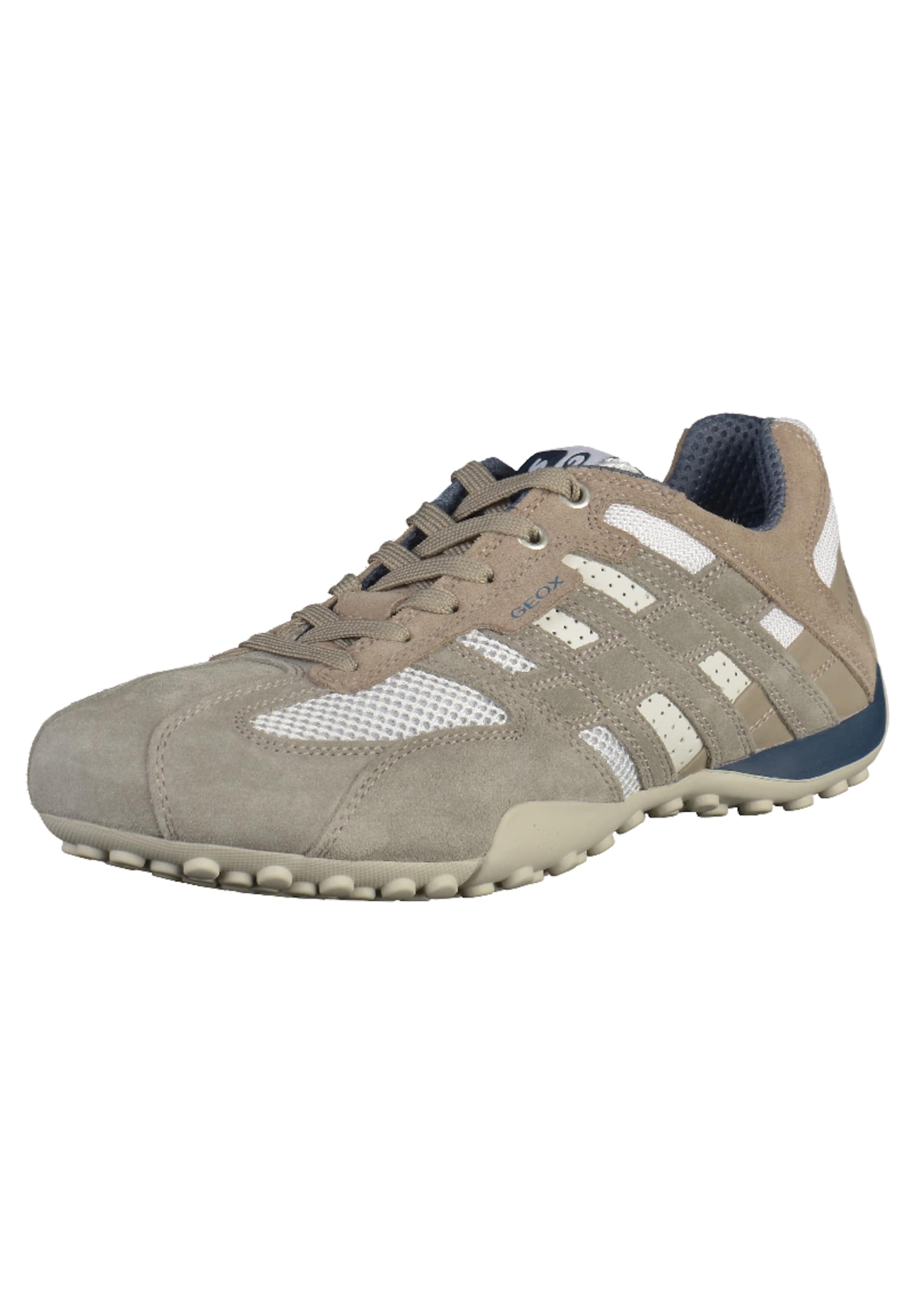 GEOX - Sapatilhas baixas em cinzento: frente