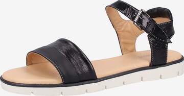 Darkwood Sandals in Black: front