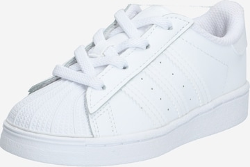 Baskets 'Superstar' ADIDAS ORIGINALS en blanc : devant