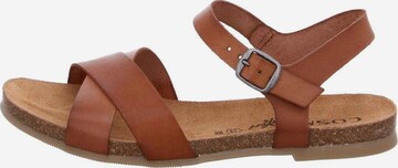 COSMOS COMFORT Sandal in Brown