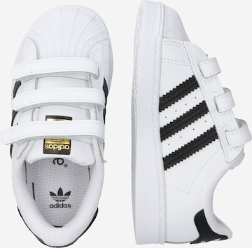 ADIDAS ORIGINALS Sneakers 'Superstar' in Wit