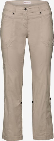 SHEEGO Regular Cargo Pants in Grey: front
