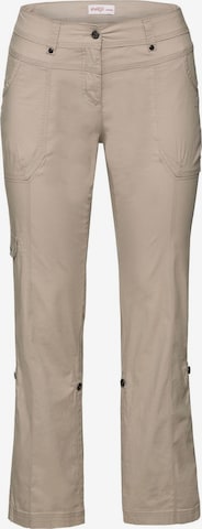 SHEEGO Cargo Pants in Grey: front