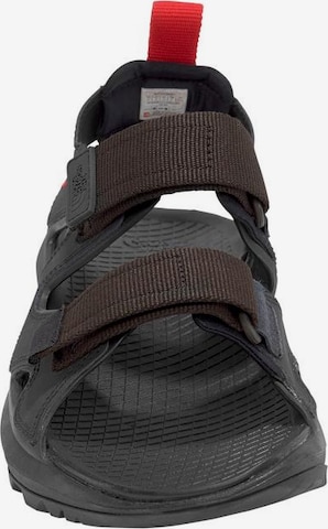 THE NORTH FACE Outdoorsandale 'Hedgehog' in Schwarz